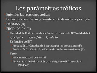 Los parámetros tróficos
0 Entender las relaciones tróficas
0 Evaluar la acumulación y transferencia de materia y energía
0 BIOMASA (B)
0 PRODUCCIÓN (P)
0 Cantidad de E almacenada en forma de B en cada NT/unidad de t
0 g/cm2
/año Kg/m2
/año t/ha/año
0 En función del NT
0 Producción 1º:Cantidad de E captada por los productores (F)
0 Producción 2º: Cantidad de E captada por los consumidores (A)
0 Tipos
0 PN: Cantidad total de B ← NT
0 PB: Cantidad de B disponible para el siguiente NT, restar la R
PB=PN-R
 