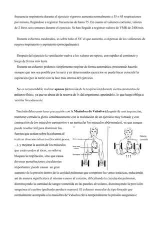 frecuencia respiratoria durante el ejercicio vigoroso aumenta normalmente a 35 o 45 respiraciones
por minuto, llegándose a registrar frecuencias de hasta 75. En cuanto al volumen corriente, valores
de 2 litros son comunes durante el ejercicio. Se han llegado a registrar valores de VMR de 240l/min.
Durante esfuerzos moderados, es sobre todo el VC el que aumenta, a expensas de los volúmenes de
reserva inspiratorio y espiratorio (principalmente).
Después del ejercicio la ventilación vuelve a los valores en reposo, con rapidez al comienzo y
luego de forma más lenta.
Durante un esfuerzo podemos simplemente respirar de forma automática, procurando hacerlo
siempre que nos sea posible por la nariz y en determinados ejercicios se puede hacer coincidir la
espiración (por la nariz) con la fase más intensa del ejercicio.
No es recomendable realizar apneas (detención de la respiración) durante ciertos momentos de
esfuerzo físico, ya que se abusa de la reserva de 02 del organismo, apurándolo, lo que luego obliga a
ventilar forzadamente.
También deberemos tener precaución con la Maniobra de Valsalva (después de una inspiración,
mantener cerrada la glotis simultáneamente con la realización de un ejercicio muy forzado y con
contracción de los músculos espiratorios y en particular los músculos abdominales), ya que aunque
puede resultar útil para disminuir las
fuerzas que actúan sobre la columna al
realizar diversos esfuerzos (levantar pesos,
...), y mejorar la acción de los músculos
que están unidos al tórax; no sólo se
bloquea la respiración, sino que causa
diversas perturbaciones circulatorias
importantes: puede causar un gran
aumento de la presión dentro de la cavidad pulmonar que comprime las venas torácicas, reduciendo
así de manera significativa el retorno venoso al corazón, dificultando la circulación pulmonar,
disminuyendo la cantidad de sangre contenida en las paredes alveolares, disminuyendo la provisión
sanguínea al cerebro (pudiendo producir mareos). El esfuerzo muscular de tipo forzado que
normalmente acompaña a la maniobra de Valsalva eleva temporalmente la presión sanguínea e
Glotis
cerrada
 