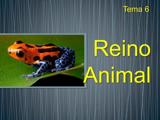 Reino
Animal
Tema 6
 