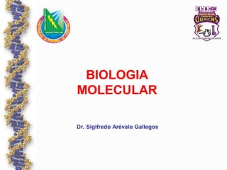 BIOLOGIA
MOLECULAR
Dr. Sigifredo Arévalo Gallegos
 
