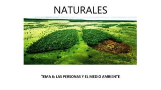 NATURALES
TEMA 6: LAS PERSONAS Y EL MEDIO AMBIENTE
 