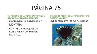 PÁGINA 75
LAS ACCIONES DE LAS PERSONAS TIENEN UN
EFECTO SOBRE EL MEDIO AMBIENTE.
• ENCENDER UN FUEGO EN LA
MONTAÑA.
• CONSTRUIR BLOQUES DE
EDIFICIOS EN UN PARAJE
NATURAL.
EJEMPLO DE ACCIÓN DE LAS PERSONAS SOBRE
EL MEDIO AMBIENTE:
LOS BLANQUIZALES DE CANARIAS.