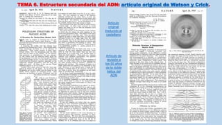 TEMA 6. Estructura secundaria del ADN: artículo original de Watson y Crick.
Artículo
original
traducido al
castellano
Artículo de
revisión a
los 50 años
de la doble
hélice del
ADN
 