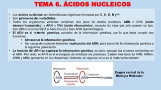 • Los ácidos nucleicos son biomoléculas orgánicas formadas por C, H, O, N y P.
• Son polímeros de nucleótidos.
• Todos los organismos vivientes contienen dos tipos de ácidos nucleicos: ADN o DNA (ácido
desoxirribonucleico) y ARN o RNA (ácido ribonucleico), excepto los virus que sólo poseen un tipo,
bien ARN (virus del SIDA o Sars-Cov-2) o bien ADN (bacteriófagos).
• El ADN es el material genético, portador de la información genética, por lo que debe cumplir dos
funciones:
• Almacenar la información genética.
• Ser capaz de copiarse fielmente (replicación del ADN) para transmitir la información genética a
la siguiente generación.
• La función del ARN es expresar la información genética, es decir, ejecutar las órdenes contenidas en
el ADN. Por tanto, el ARN es el encargado de sintetizar las proteínas. Existen tres tipos de ARN: ARNm,
ARNt y ARNr (presente en los ribosomas). Además, en algunos virus es el material hereditario.
TEMA 6. ÁCIDOS NUCLEICOS
Dogma central de la
Biología Molécular
 