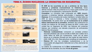TEMA 6. ÁCIDOS NUCLEICOS: LA CROMATINA EN EUCARIOTAS.
El ADN de los eucariotas se une a proteínas de dos tipos:
histonas y proteínas cromosómicas no histónicas. Estas
últimas incluyen miles de proteínas en su mayor parte enzimas que
intervienen en la duplicación y transcripción del ADN.
Cromatina: La cromatina está compuesta por ADN plegado,
asociado a proteínas básicas estructurales y reguladoras: Las
Histonas. En la cromatina del núcleo interfásico, la doble hélice de
ADN se asocia a histonas y forma complejos denominados
nucleosomas. Se podría decir que el nucleosoma es la unidad
básica estructural de la cromatina. alrededor del nucleosoma se
enrolla una cadena de 140 pares de bases de ADN, y entre cada
unidad hay un fragmento de ADN. Las histonas son proteínas
básicas que contienen una elevada proporción de aminoácidos
básicos Hay dos grupos:
• Histonas nucleosómicas: componen un complejo proteico
discoidal alrededor del cual se enrolla el ADN (dos vueltas de la
doble hélice de ADN por nucleosoma). Cada uno de estos
discos es un octámero formado por dos copias de cada histona
(H2A, H2B, H3 y H4). Esta estructura constituye el nucleosoma.
• Histona H1: une los complejos nucleosómicos y es la
responsable del plegamiento helicoidal de la fibra elemental de
cromatina.
La cadena de nucleosomas es la fibra nucleosómica o unidad
elemental de la cromatina, de unos 10 nm de grosor.
 