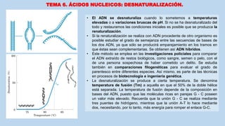 TEMA 6. ÁCIDOS NUCLEICOS: DESNATURALIZACIÓN.
• El ADN se desnaturaliza cuando lo sometemos a temperaturas
elevadas o a variaciones bruscas de pH. Si no se ha desnaturalizado del
todo y restauramos las condiciones iniciales es posible que se produzca la
renaturalización.
• Si la renaturalización se realiza con ADN procedente de otro organismo es
posible estudiar el grado de semejanza entre las secuencias de bases de
los dos ADN, ya que sólo se producirá emparejamiento en los tramos en
que éstas sean complementarias. Se obtienen así ADN híbridos.
• Este método se emplea en las investigaciones policiales para comparar
el ADN extraído de restos biológicos, como sangre, semen o pelo, con el
de una persona sospechosa de haber cometido un delito. Se estudia
también en comparaciones filogenéticas para evaluar el grado de
parentesco entre diferentes especies. Así mismo, es parte de las técnicas
en procesos de biotecnología e ingeniería genética.
• La desnaturalización se produce a cierta temperatura. Se denomina
temperatura de fusión (Tm) a aquella en que el 50% de la doble hélice
está separada. La temperatura de fusión depende de la composición en
bases del ADN, puesto que las moléculas ricas en parejas G - C poseen
un valor más elevado. Recuerda que la unión G - C se realiza mediante
tres puentes de hidrógeno, mientras que la unión A-T lo hace mediante
dos, necesitando, por lo tanto, más energía para romper el enlace G-C.
 