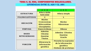 TEMA 6. EL RNA. COMPONENTES MOLECULARES.
 