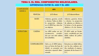 TEMA 6. EL RNA. COMPONENTES MOLECULARES.
 