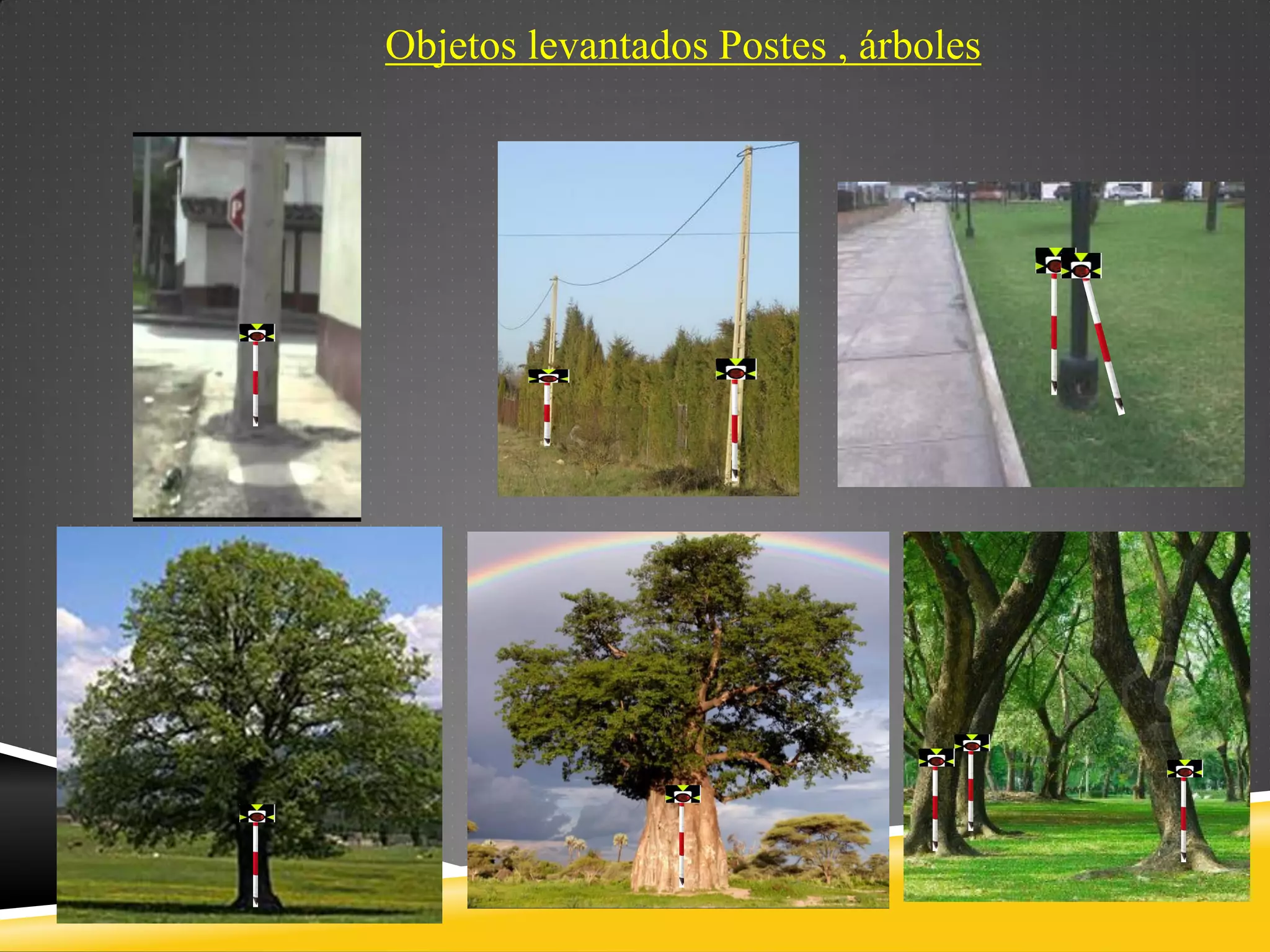 Objetos levantados Postes , árboles
 