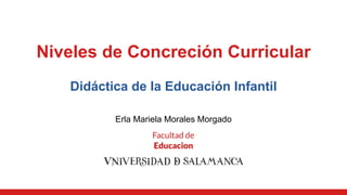 Niveles de Concreción Curricular
Didáctica de la Educación Infantil
Erla Mariela Morales Morgado
 