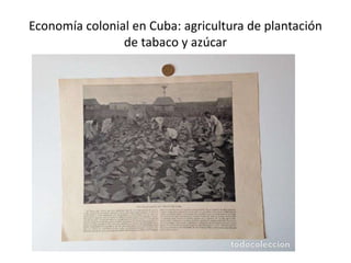 Economía colonial en Cuba: agricultura de plantación
de tabaco y azúcar
 