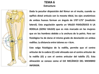 Angulo Tobillo Biomecánica de la articulación de la rodilla | PPTX