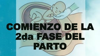TEMA 6. REVISION Y COMIENZO DE LA SEGUNDA FASE(1).pptx