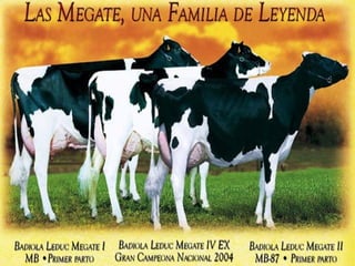 Tema 6-5 La ganadería