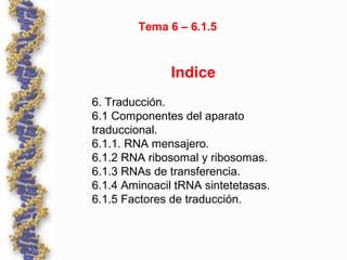 Tema 6 – 6.1.5
Indice
6. Traducción.
6.1 Componentes del aparato
traduccional.
6.1.1. RNA mensajero.
6.1.2 RNA ribosomal y ribosomas.
6.1.3 RNAs de transferencia.
6.1.4 Aminoacil tRNA sintetetasas.
6.1.5 Factores de traducción.
 