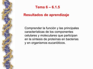 Tema 6 – 6.1.5
Resultados de aprendizaje
Comprender la función y las principales
características de los componentes
celulares y moleculares que participan
en la síntesis de proteínas en bacterias
y en organismos eucarióticos.
 