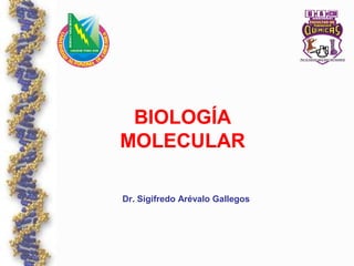 BIOLOGÍA
MOLECULAR
Dr. Sigifredo Arévalo Gallegos
 