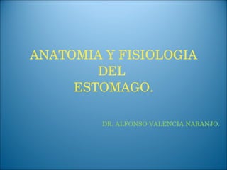 ANATOMIA Y FISIOLOGIA DEL  ESTOMAGO. DR. ALFONSO VALENCIA NARANJO. 