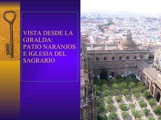 VISTA DESDE LA GIRALDA: PATIO NARANJOS E IGLESIA DEL SAGRARIO 