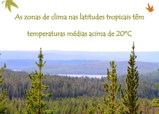 As zonas de clima nas latitudes tropicais têm
temperaturas médias acima de 20ºC
 