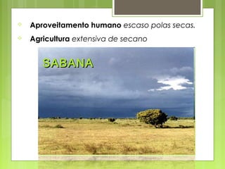    Aproveitamento humano escaso polas secas.
   Agricultura extensiva de secano


       SABANA
 