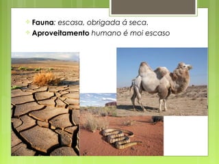  Fauna:escasa, obrigada á seca.
 Aproveitamento humano é moi escaso
 