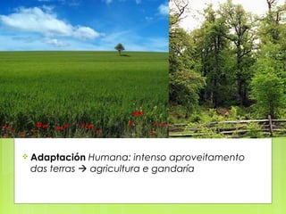  Adaptación Humana: intenso aproveitamento
 das terras  agricultura e gandaría
 