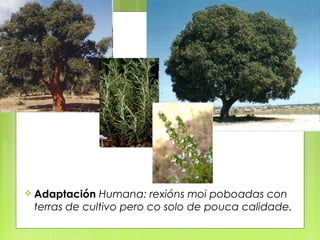  Adaptación  Humana: rexións moi poboadas con
 terras de cultivo pero co solo de pouca calidade.
 