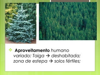  Aproveitamento humano
 variado: Taiga  deshabitada;
 zona de estepa  solos fértiles;
 