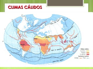CLIMAS CÁLIDOS
 