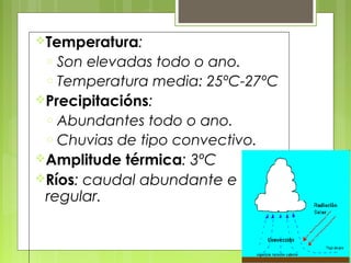Temperatura:
 o Son elevadas todo o ano.
 o Temperatura media: 25ºC-27ºC
Precipitacións:
 o Abundantes todo o ano.
 o Chuvias de tipo convectivo.
Amplitude térmica: 3ºC
Ríos: caudal abundante e
 regular.
 