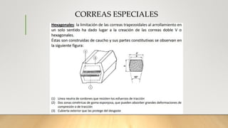 CORREAS ESPECIALES
 