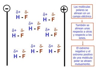 - + Las moléculas polares se alinean en un campo eléctrico El extremo negativo y  el  extremo positivo de una molécula polar se atraen mutuamente. T ambién   se alinean unas respecto a otras y respecto a los iones. H  -  F  +  - H  -  F  +  - H  -  F  +  - H  -  F  +  - H  -  F  +  - H  -  F  +  - H  -  F  +  - H  -  F  +  - 