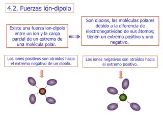 Existe una fuerza ion-dipolo entre un ion y la carga parcial de un  e xtremo de   una molécula polar.  4.2. Fuerzas ión-dipolo S on dipolos , l as moléculas polares  debido a  la diferencia de   electronegatividad  de sus átomos ; tienen un extremo positivo y uno negativo.  Los iones positivos son atraídos hacia el extremo negativo de un dipolo . L os iones negativos son atraídos hacia el extremo positivo . 