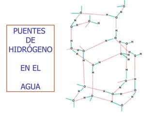 PUENTES  DE HIDRÓGENO EN EL  AGUA 