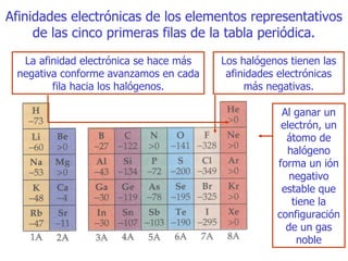 Afinidades electrónicas de los elementos   representativos de las cinco primeras filas de la tabla periódica. Al ganar   un electrón, un átomo de halógeno forma un ión negativo estable que tiene la   configuración de un gas noble La   afinidad electrónica se hace más negativa conforme avanzamos en cada fila ha cia  los halógenos. Los halógenos   tienen las afinidades electrónicas más negativas . 