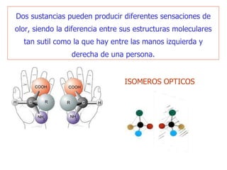 D os sustancias pueden producir diferentes sensaciones de olor , siendo  la diferencia entre sus estructuras moleculares tan sutil como la   que hay entre las manos izquierda y derecha de una persona. ISOMEROS OPTICOS 