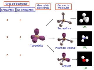 Pares de electrones Enlazantes No enlazantes Geometría electrónica Geometría molecular 4 0 3 1 2 2 Tetraedrica Tetraedrica Piramidal trigonal Angular CH 4 NH 3 H 2 O 