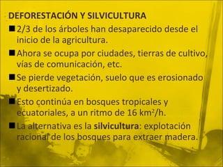 DEFORESTACIÓN Y SILVICULTURA 2/3 de los árboles han desaparecido desde el inicio de la agricultura. Ahora se ocupa por ciudades, tierras de cultivo, vías de comunicación, etc. Se pierde vegetación, suelo que es erosionado y desertizado. Esto continúa en bosques tropicales y ecuatoriales, a un ritmo de 16 km 2 /h. La alternativa es la  silvicultura : explotación racional de los bosques para extraer madera. 