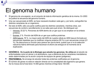 El genoma humano
   El genoma de una especie es el conjunto de toda la información genética de la misma. En 2003
    se publicó la secuencia del genoma humano.
   Una vez secuenciado el ADN, se hace necesario localizar cada gen y, por tanto, cartografiar los
    distintos caracteres de un organismo.
   De todo el ADN, sólo una parte codifica para los distintos caracteres, mientras otras, son
    secuencias de control o sencillamente no se sabe para qué sirven. Se distinguen así:
      Intrones. El 22 %. Porciones de ADN dentro de un gen que no se emplean en la síntesis
          proteíca.
      Exones. 2 %. Porción del ADN de un gen que codifica proteínas.
      ADN basura. 76 %. La mayor parte del ADN de nuestra célula es ADN basura formada por
          secuencias repetidas que no codifican ninguna proteína (55 %) o por secuencias únicas (21
          %). Se desconoce su función pero parece ser que la tiene, puesto que si no la selección
          natural la habría eliminado para favorecer el ahorro de energía en el momento de la
          duplicación.

   GENÓMICA. Es la parte de la Biología que estudia los genomas. Se utiliza en el estudio de
    enfermedades como el cáncer o el alcoholismo, que a diferencia de los caracteres mendelianos
    están determinadas por la acción conjunta de equipos de genes (poligenes).
   PROTEÓMICA. Se encarga de estudiar todas las proteínas codificadas por el genoma.
   Él número de genes no está en relación directa con la complejidad del organismo que genera.
    Así la mosca de la fruta tiene 14.000 genes mientras el trigo tiene 100.000.
 