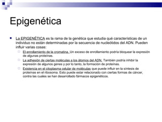 Epigenética
   La EPIGENÉTICA es la rama de la genética que estudia qué características de un
    individuo no están determinadas por la secuencia de nucleótidos del ADN. Pueden
    influir varias cosas:
        El enrollamiento de la cromatina. Un exceso de enrollamiento podría bloquear la expresión
         de algunas proteínas.
        La adhesión de ciertas moléculas a los átomos del ADN. También podría inhibir la
         expresión de algunos genes y por lo tanto, la formación de proteínas.
        Existencia en el citoplasma celular de moléculas que puede influir en la síntesis de
         proteínas en el ribosoma. Esto puede estar relacionado con ciertas formas de cáncer,
         contra las cuales se han desarrollado fármacos epigenéticos.
 