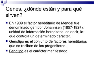 Genes, ¿dónde están y para qué
sirven?
   En 1909 el factor hereditario de Mendel fue
    denominado gen por Johannsen (1857-1927):
    unidad de información hereditaria, es decir, lo
    que controla un determinado carácter.
   Genotipo es el conjunto de factores hereditarios
    que se reciben de los progenitores.
   Fenotipo es el carácter manifestado.
 