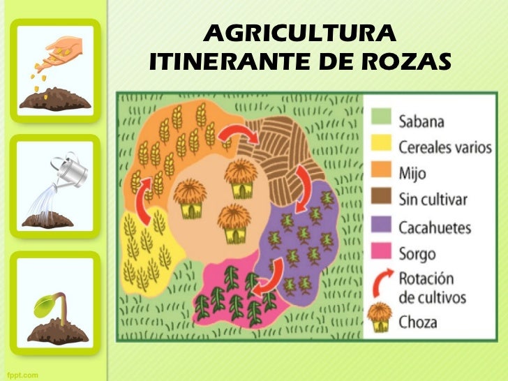 Resultado de imagen de agricultura de rozas