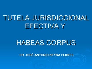 TUTELA JURISDICCIONAL
     EFECTIVA Y

   HABEAS CORPUS
   DR. JOSÉ ANTONIO NEYRA FLORES
 