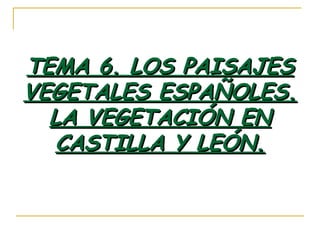 TEMA 6. LOS PAISAJESTEMA 6. LOS PAISAJES
VEGETALES ESPAÑOLES.VEGETALES ESPAÑOLES.
LA VEGETACIÓN ENLA VEGETACIÓN EN
CASTILLA Y LEÓN.CASTILLA Y LEÓN.
 