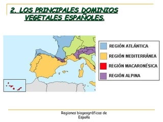 Regiones biogeográficas de
España
2. LOS PRINCIPALES DOMINIOS2. LOS PRINCIPALES DOMINIOS
VEGETALES ESPAÑOLESVEGETALES ESPAÑOLES..
 
