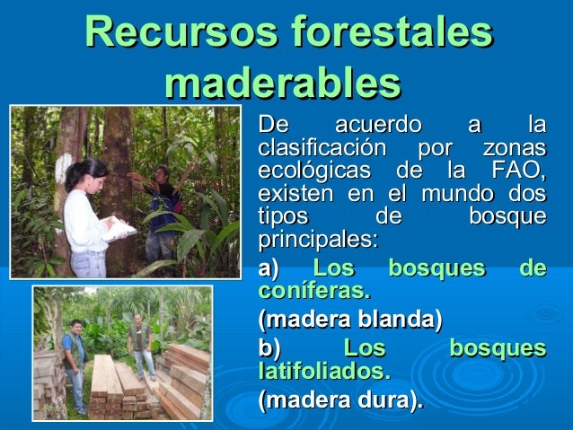 Tema 6. recursos forestales de bolivia 2013