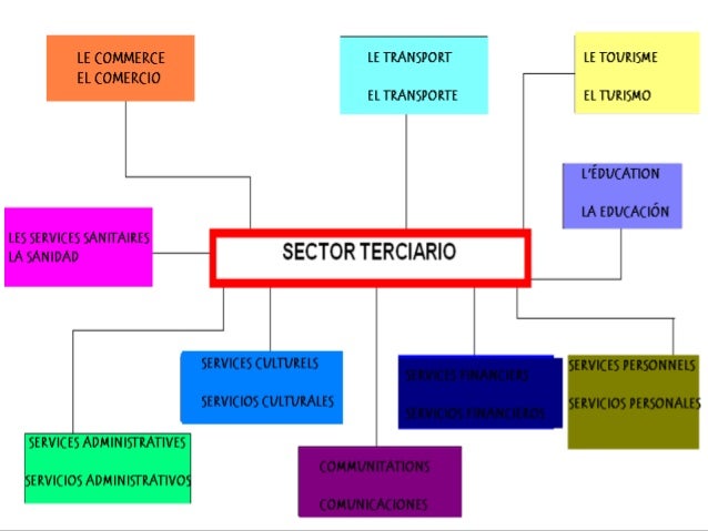 Tema 6 sector terciario