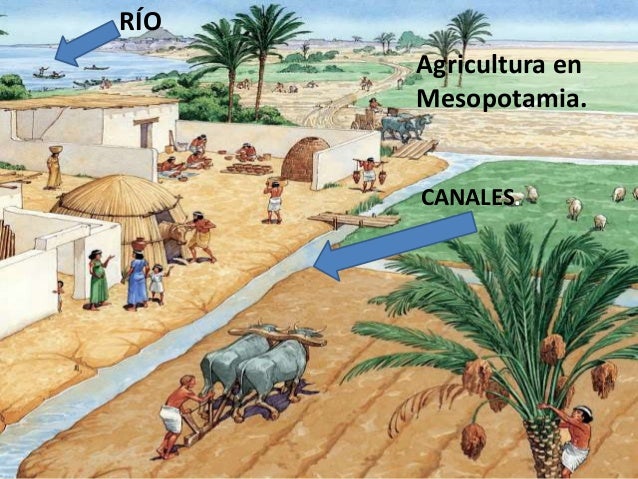 Resultado de imagen para mesopotamia agricultura y ganaderia