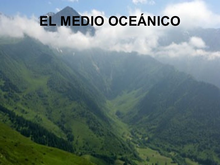 Tema 6 (2) el medio oceanico Tema 6 (2) el medio oceanico